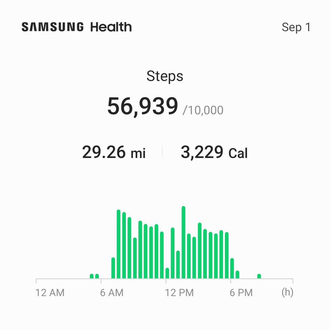 Steps counted on September 1. Screenshot showing map of recorded steps.