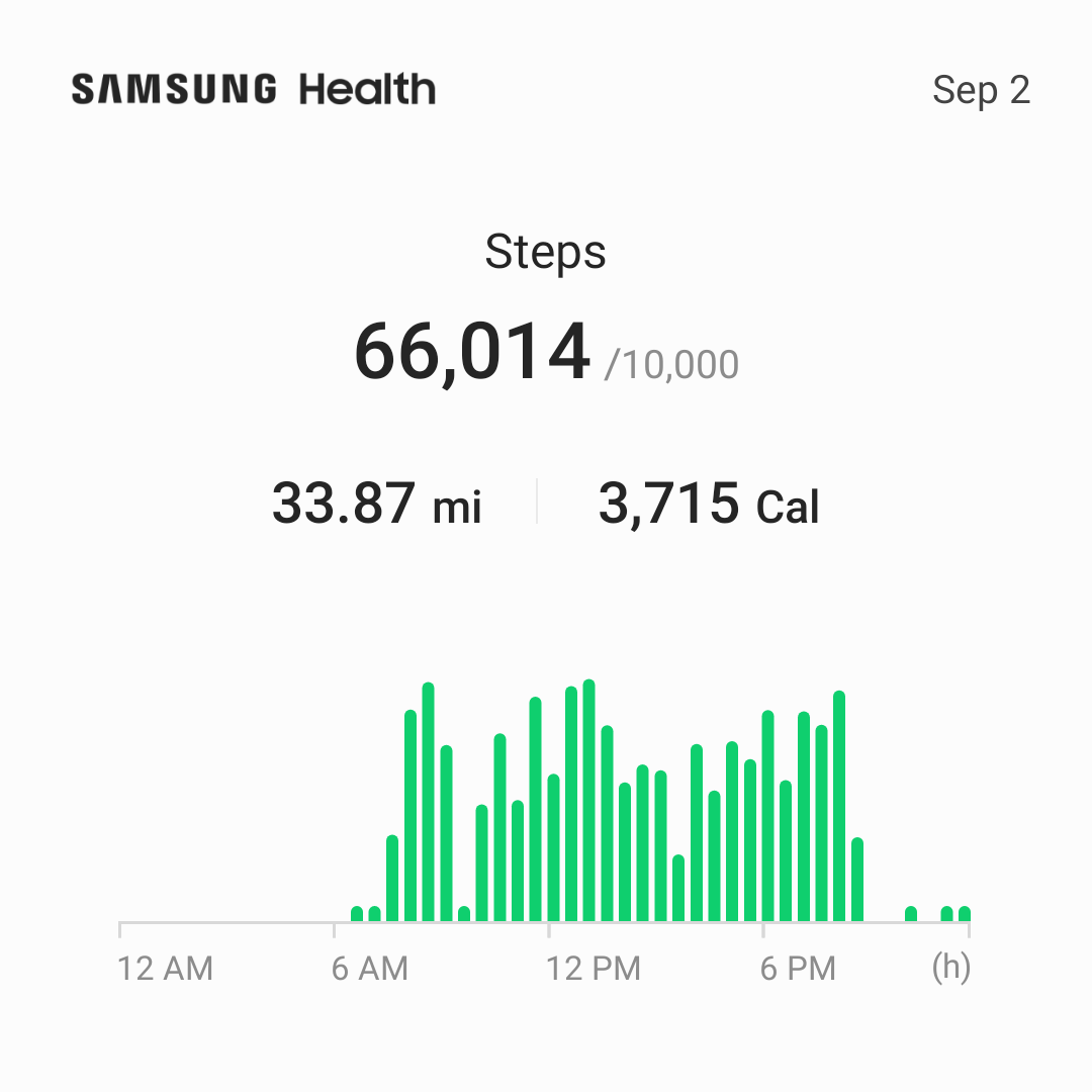 Steps counted on September 2. Screenshot showing map of recorded steps.
